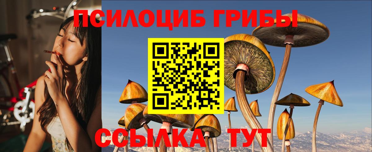 Галлюциногенные грибы Psilocybine cubensis Ижевск