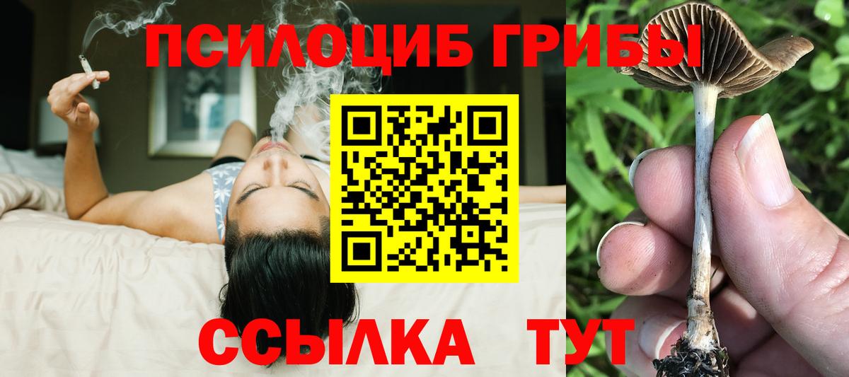 Ижевск  как найти наркотики  Псилоцибиновые грибы мухоморы  Вход с VPN  Галлюциногенные грибы Cubensis 